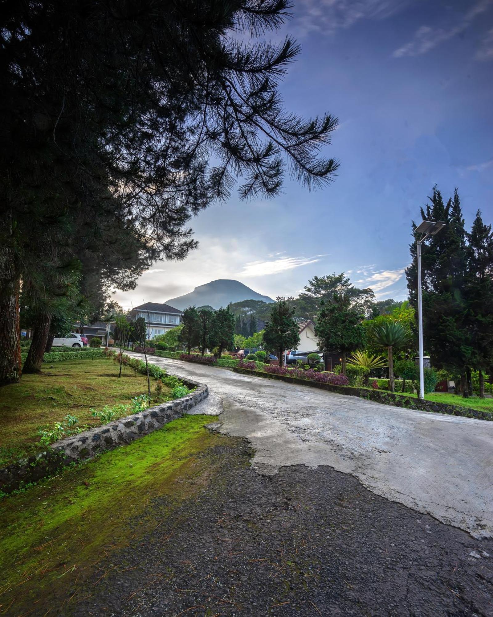 Tambi Tea Resort Kejajar Экстерьер фото